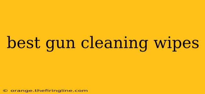 best gun cleaning wipes