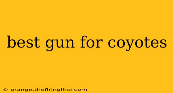 best gun for coyotes