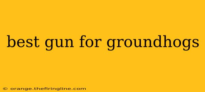 best gun for groundhogs