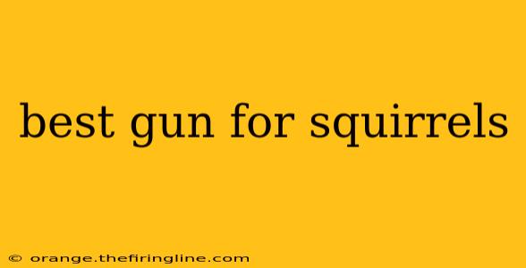 best gun for squirrels