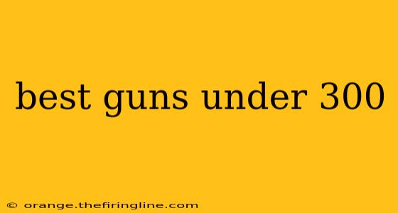 best guns under 300