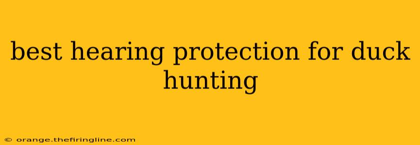 best hearing protection for duck hunting