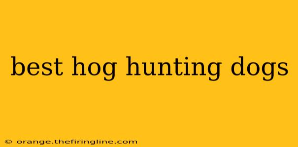 best hog hunting dogs