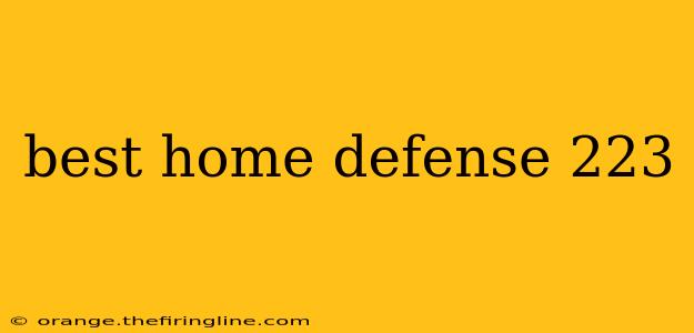 best home defense 223