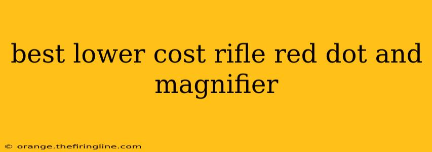 best lower cost rifle red dot and magnifier