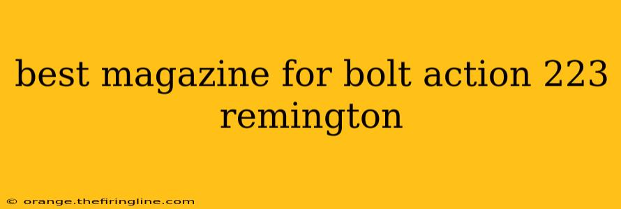 best magazine for bolt action 223 remington