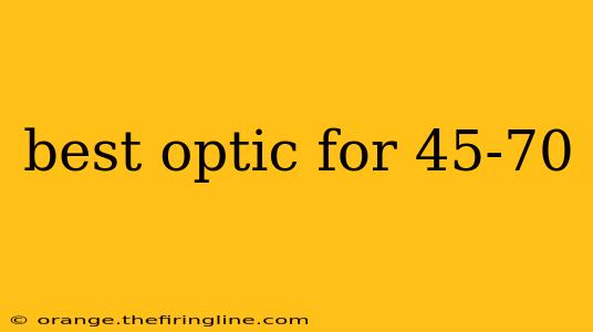 best optic for 45-70