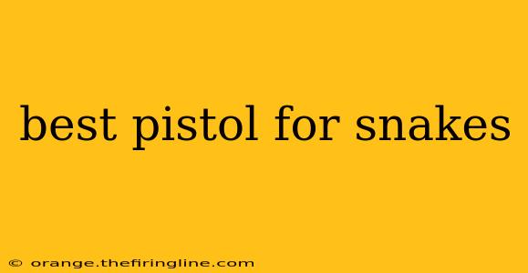 best pistol for snakes