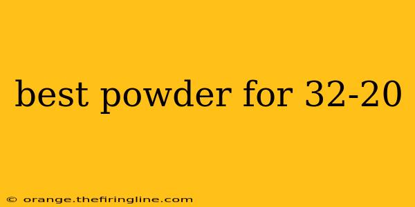 best powder for 32-20