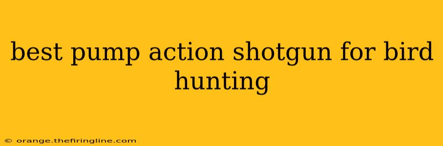 best pump action shotgun for bird hunting