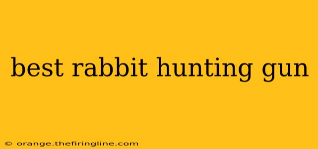 best rabbit hunting gun