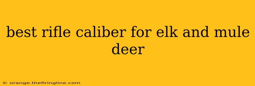 best rifle caliber for elk and mule deer