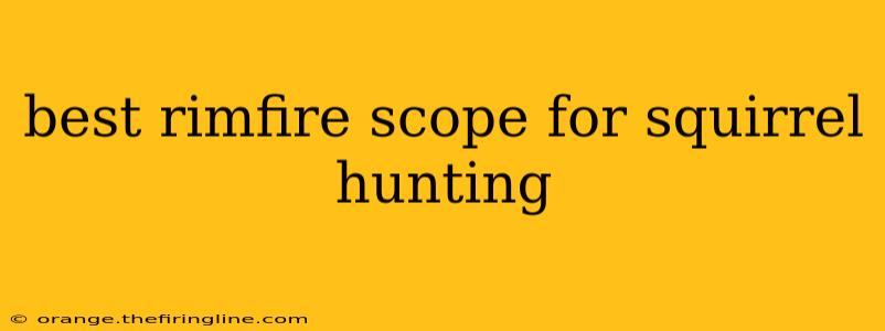 best rimfire scope for squirrel hunting