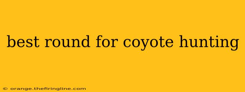 best round for coyote hunting