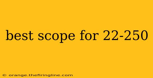 best scope for 22-250