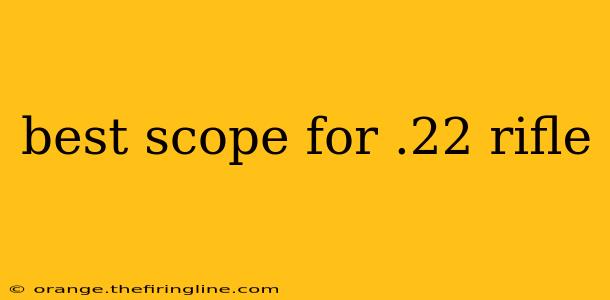 best scope for .22 rifle