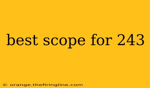 best scope for 243