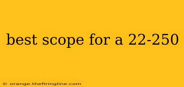 best scope for a 22-250