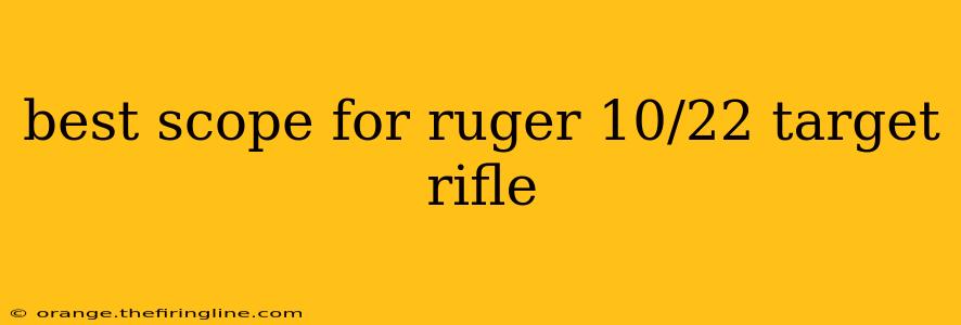 best scope for ruger 10/22 target rifle