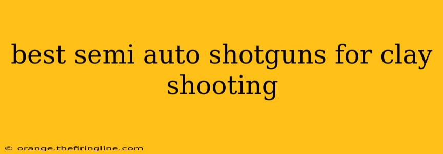 best semi auto shotguns for clay shooting