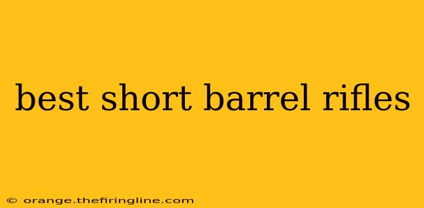 best short barrel rifles