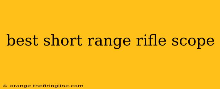 best short range rifle scope