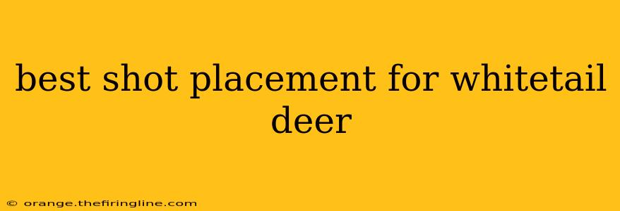 best shot placement for whitetail deer