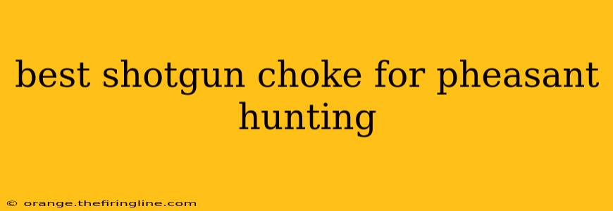 best shotgun choke for pheasant hunting