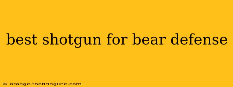 best shotgun for bear defense