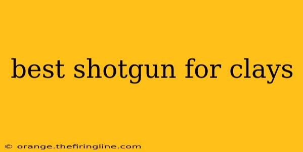 best shotgun for clays