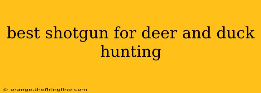 best shotgun for deer and duck hunting