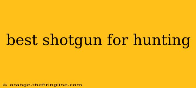 best shotgun for hunting