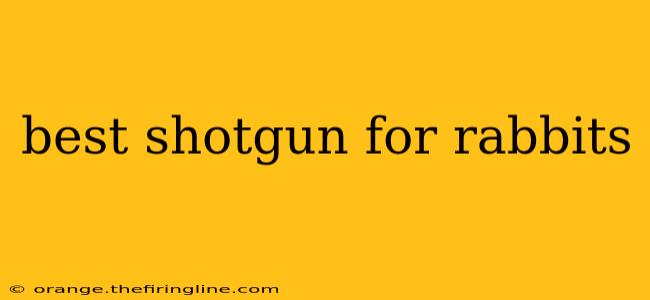 best shotgun for rabbits