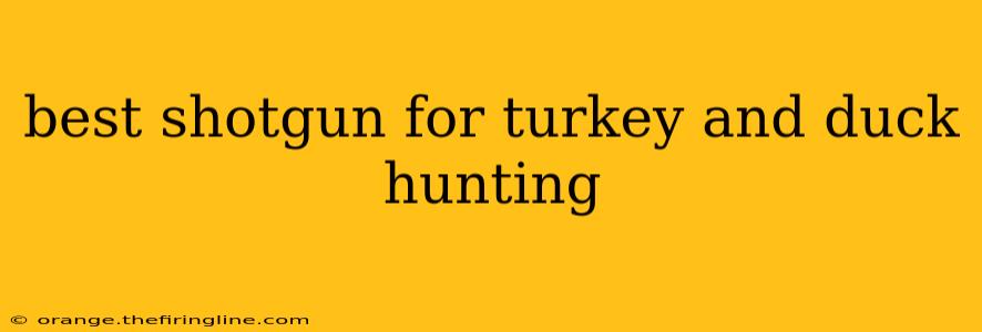 best shotgun for turkey and duck hunting