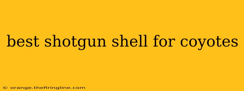 best shotgun shell for coyotes