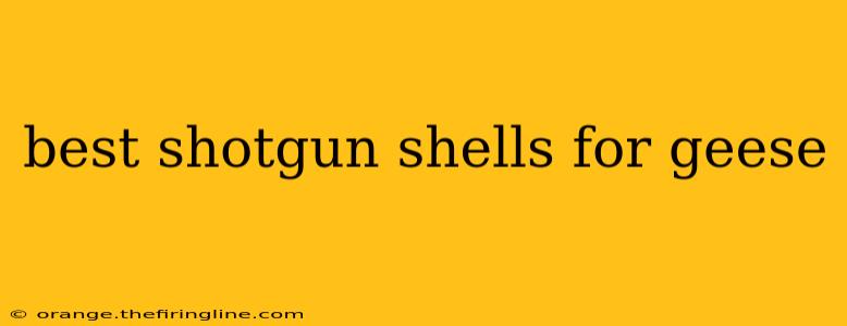 best shotgun shells for geese