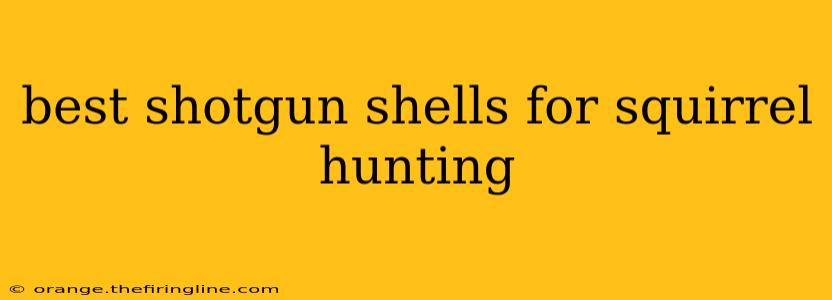 best shotgun shells for squirrel hunting