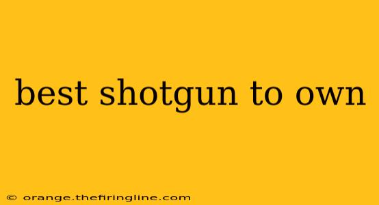 best shotgun to own