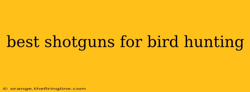 best shotguns for bird hunting