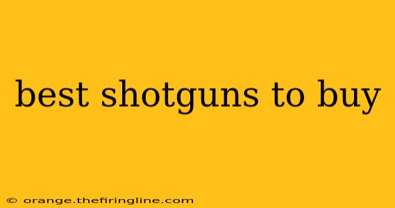 best shotguns to buy