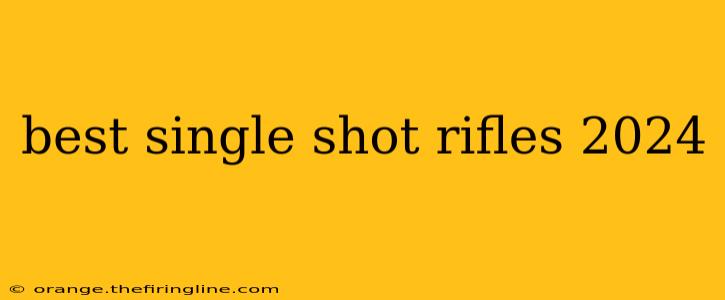 best single shot rifles 2024