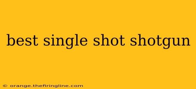 best single shot shotgun