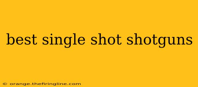 best single shot shotguns