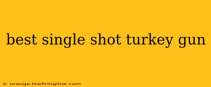 best single shot turkey gun