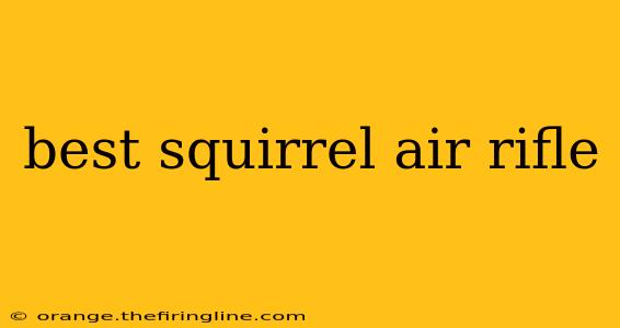 best squirrel air rifle