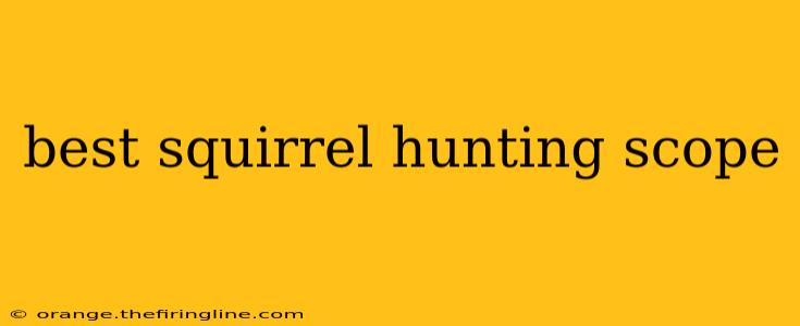 best squirrel hunting scope