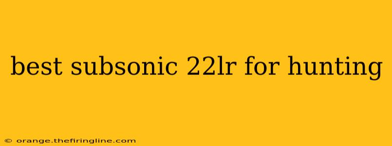 best subsonic 22lr for hunting