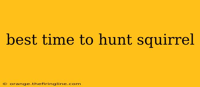 best time to hunt squirrel