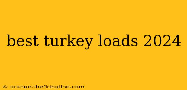 best turkey loads 2024