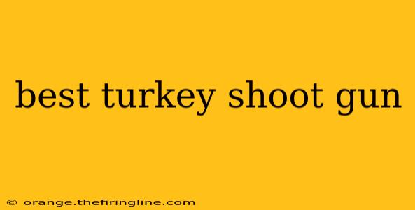 best turkey shoot gun